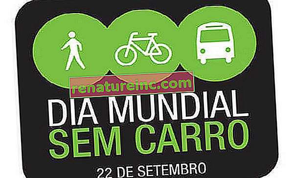 Día Mundial Sin Automóviles