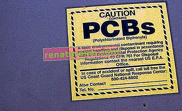 ¿Qué son los PCB?