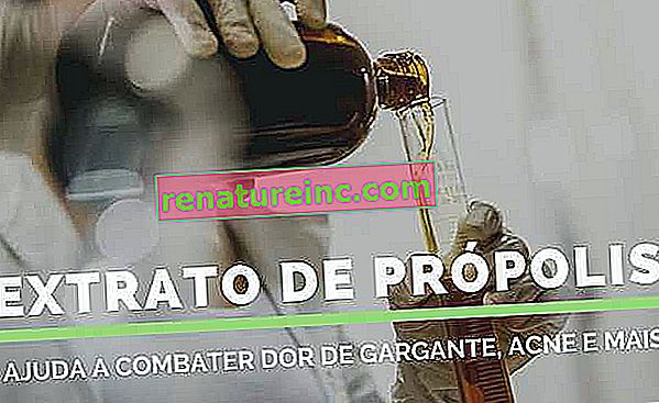 Hvad er propolis-ekstrakt, hvad er det til og alternativer