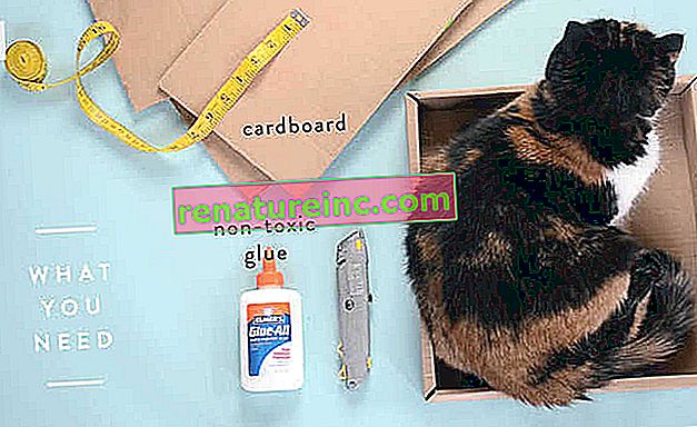 Materiales para hacer rascadores de cartón para gatos