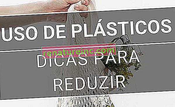להפחית פסולת פלסטיק