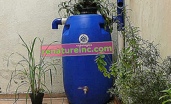 Cistern design