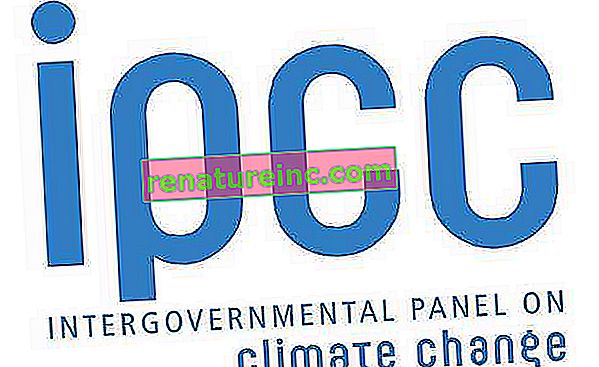 IPCC: de organisatie achter het klimaatveranderingsrapport
