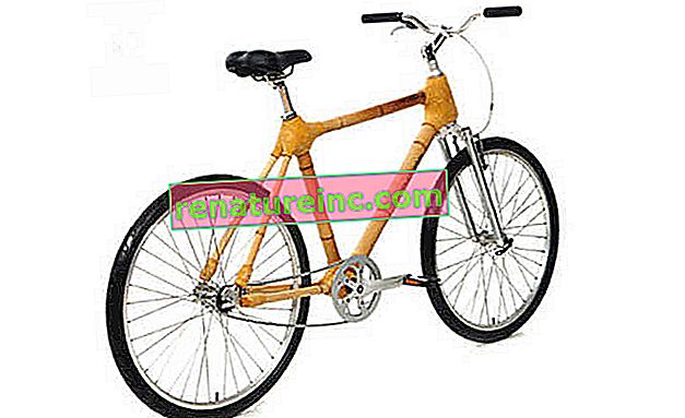 Bambucicleta: cyklen lavet af bambus