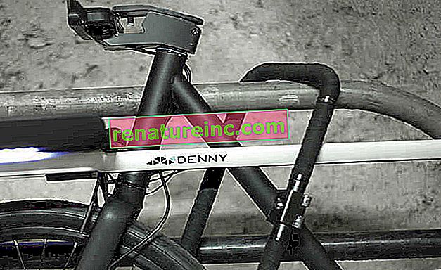 Denny Bike