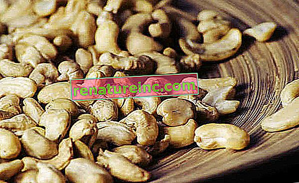 Egenskaper av cashewnøtter