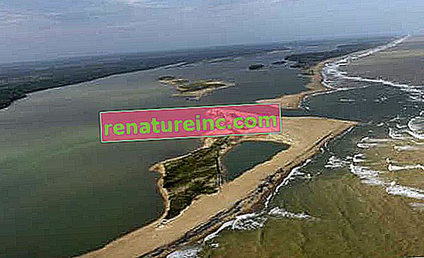 El barro de Samarco llega al mar en Espírito Santo y el ayuntamiento prohíbe las playas