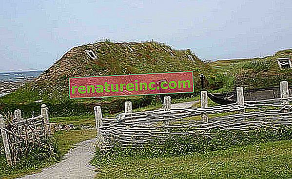 Vikinger lavede allerede huse med 