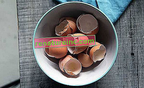 Vajcová škrupina sa používa na remeslá a ďalšie