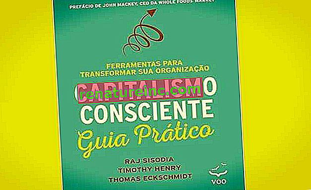 Conscious Capitalism Editora Voo