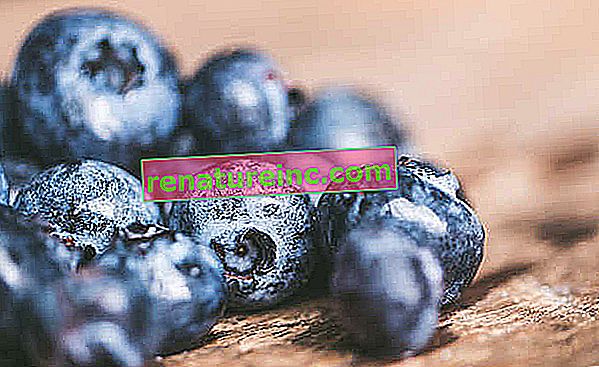 Hva er blåbær og fordelene
