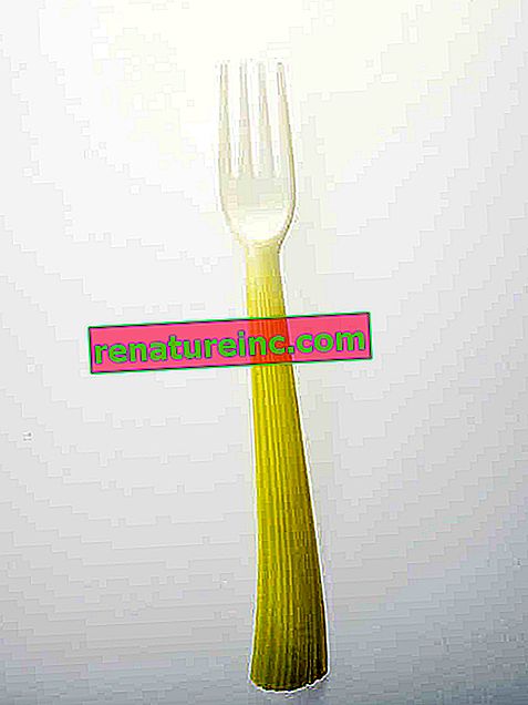Tenedor biodegradable hecho de almidón de maíz
