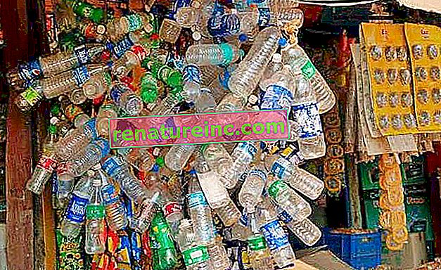 פלסטיק חד פעמי אסור בניו דלהי, הודו