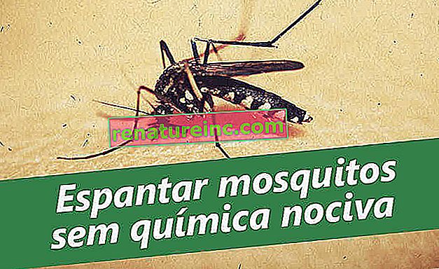 Kako naravno ubiti komarje