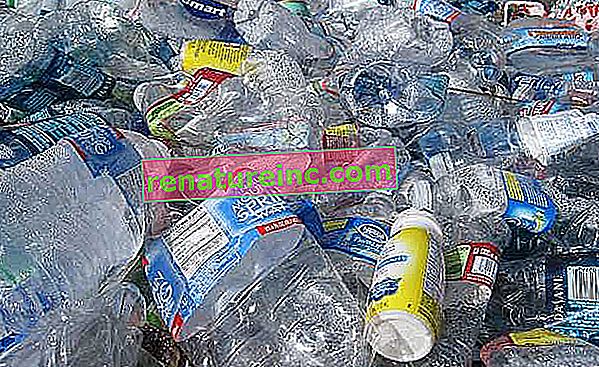 Nedbrytningstid av plast er usikker og bekymrer