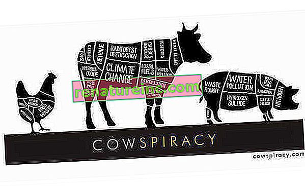 Cowspiracy: The Secret of Sustainability