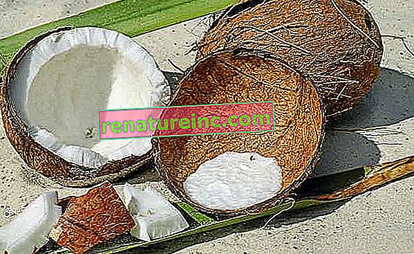 Tørket kokosnøtt