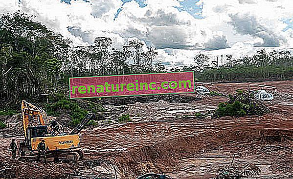 Odlesňovanie v Amazónii