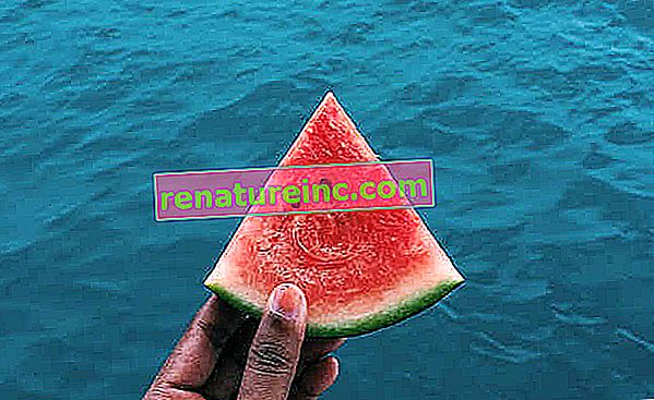 vandmelonfrø