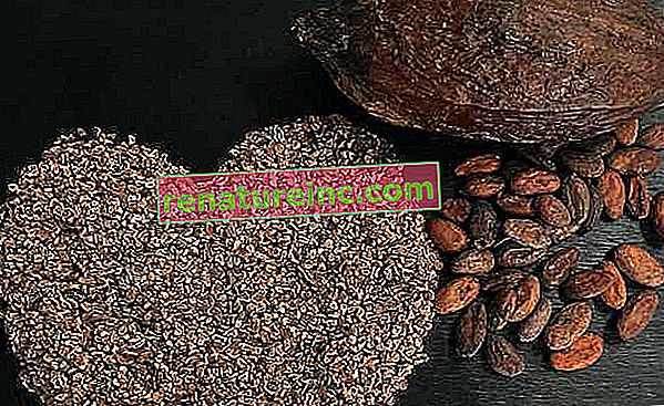 Hvad er kakaonibs og deres fordele