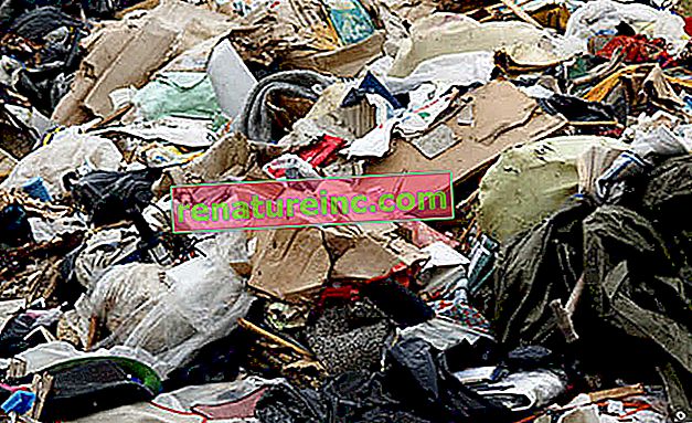 Estimat afslører, at mængden af ​​affald, der produceres i verden, vil være 70% højere i 2030