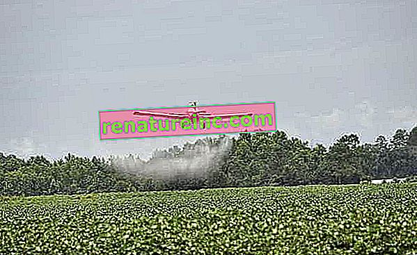 Avión aplicando pesticidas en monocultivo