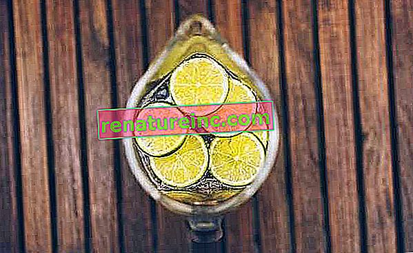 Vand med citron: anvendelser og fordele