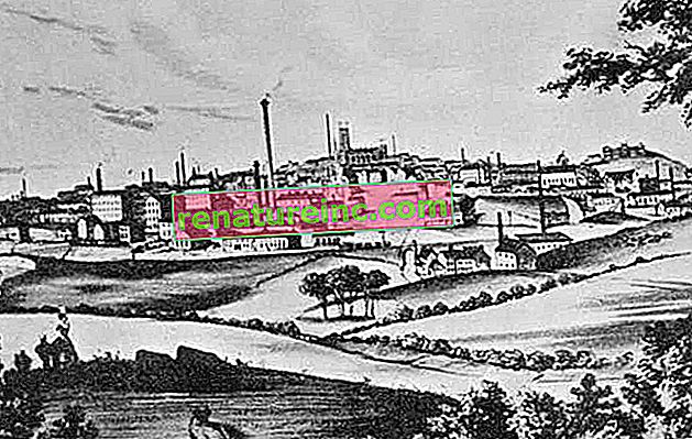 מפעל אנגלי (המאה ה -19)