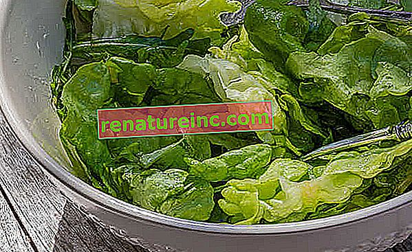 wie man Salat konserviert